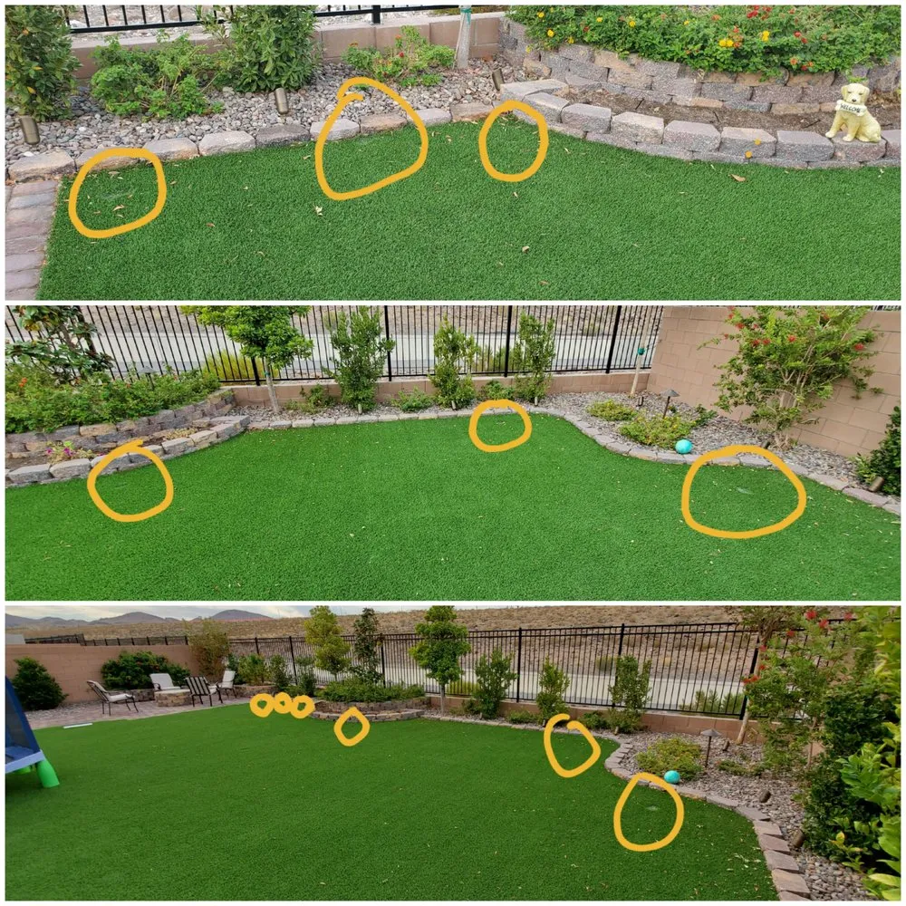 Local residential landscaping in Las Vegas, NV by Affordable Lawn Maintenance