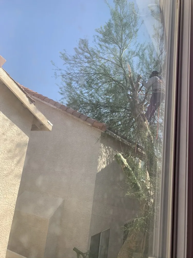 Professional lawn care service experts serving Las Vegas, NV - Affordable Lawn Maintenance