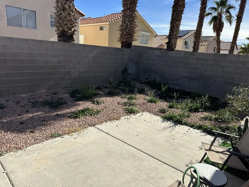 Reliable outdoor landscaping with custom design in Las Vegas, NV by Affordable Lawn Maintenance