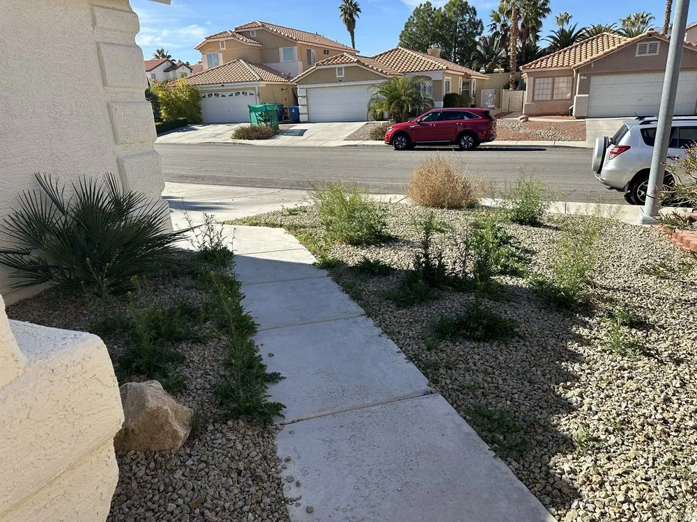 Custom landscape installation in Las Vegas, NV - Affordable Lawn Maintenance