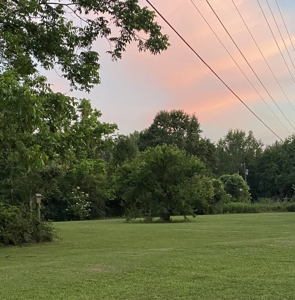 Custom yard maintenance experts serving Petal, MS - Affordable Lawn Management