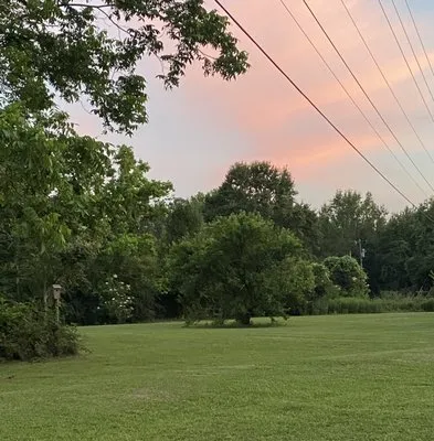 Affordable Lawn Management Logo