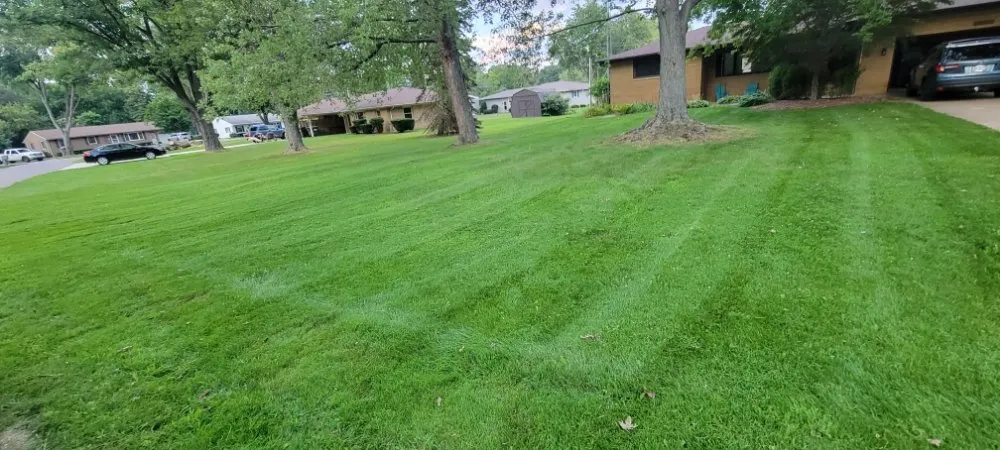 Custom lawn care service experts serving Sodus, MI - Affordable Lawn Mowing