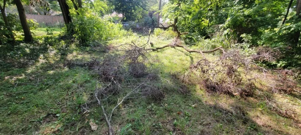 Top-rated yard maintenance in Sodus, MI by Affordable Lawn Mowing