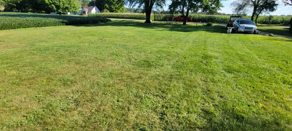 Professional yard cleanup service for year-round maintenance across Sodus, MI - Affordable Lawn Mowing