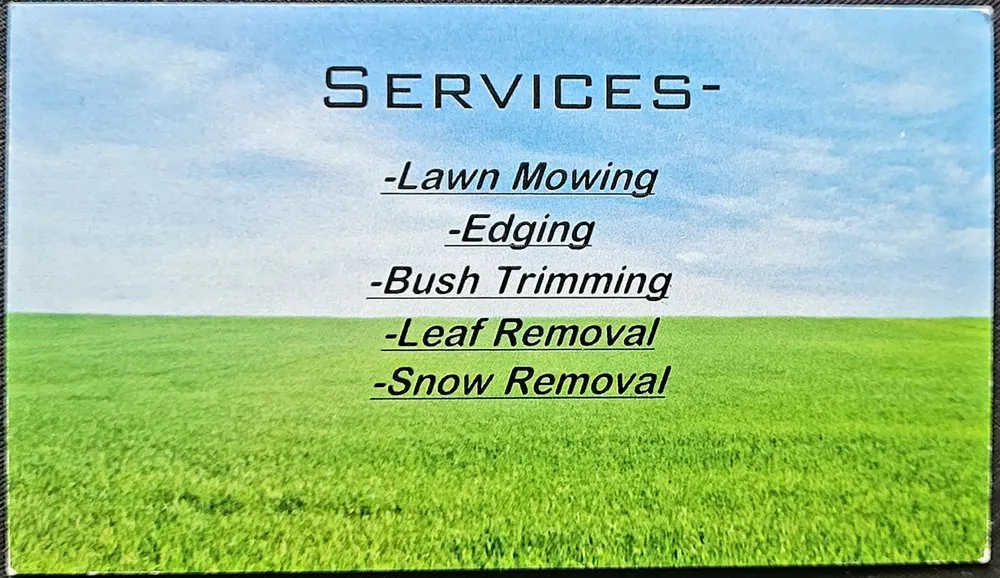 Expert yard cleanup service in Sodus, MI - Affordable Lawn Mowing