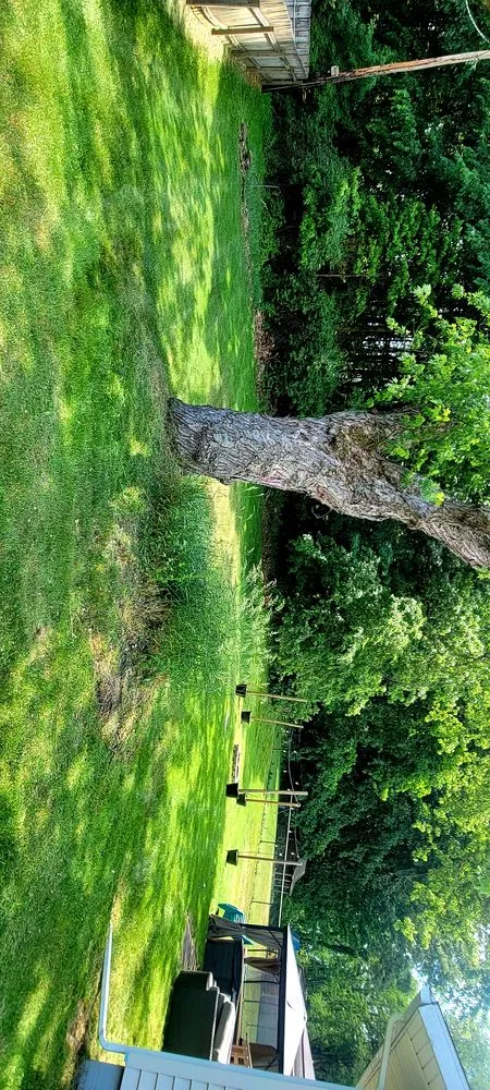 Local outdoor landscaping in Sodus, MI by Affordable Lawn Mowing