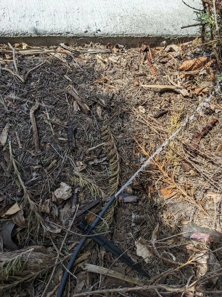 Top-rated landscaping services near you across Vacaville, CA - Affordable Lawn Service & Sprinkler Repair