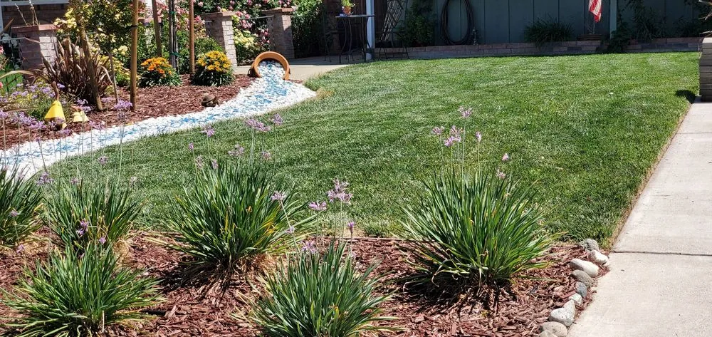 Reliable outdoor landscaping for beautiful yards in Vacaville, CA by Affordable Lawn Service & Sprinkler Repair