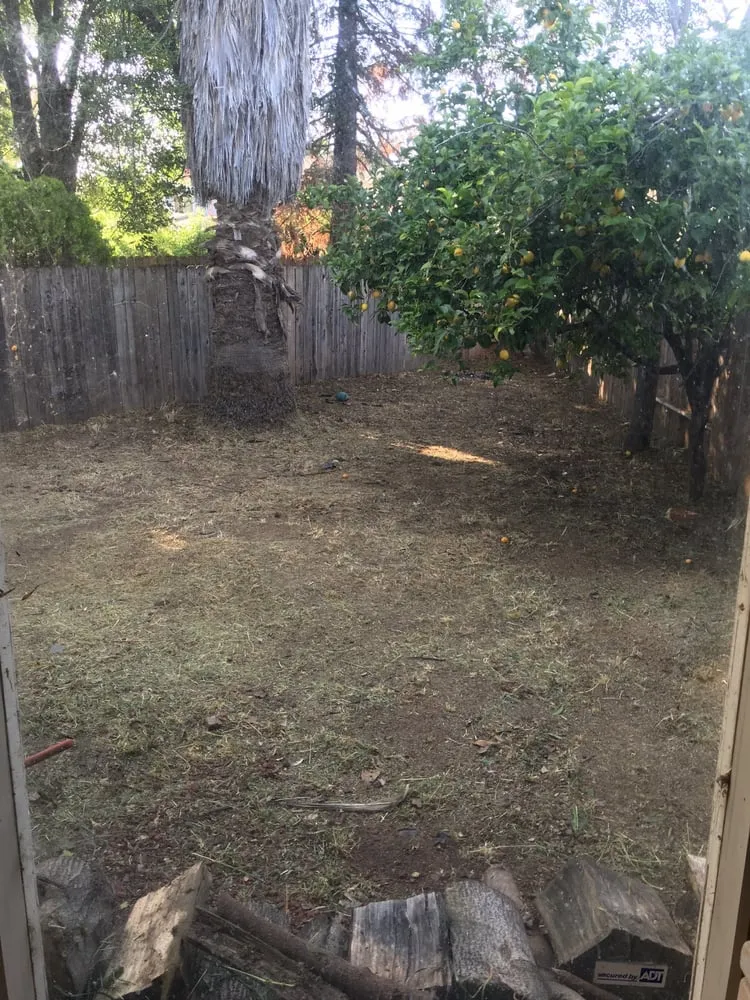 Affordable residential landscaping for residential properties in Vacaville, CA by Affordable Lawn Service & Sprinkler Repair