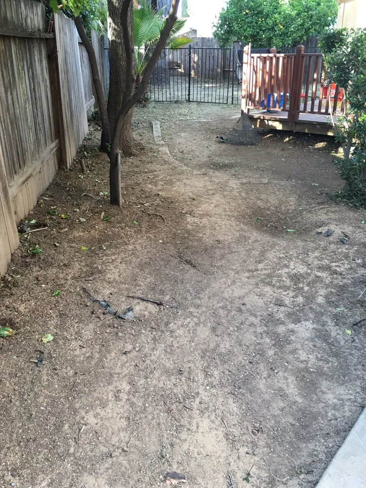 Reliable lawn care service near you across Vacaville, CA - Affordable Lawn Service & Sprinkler Repair