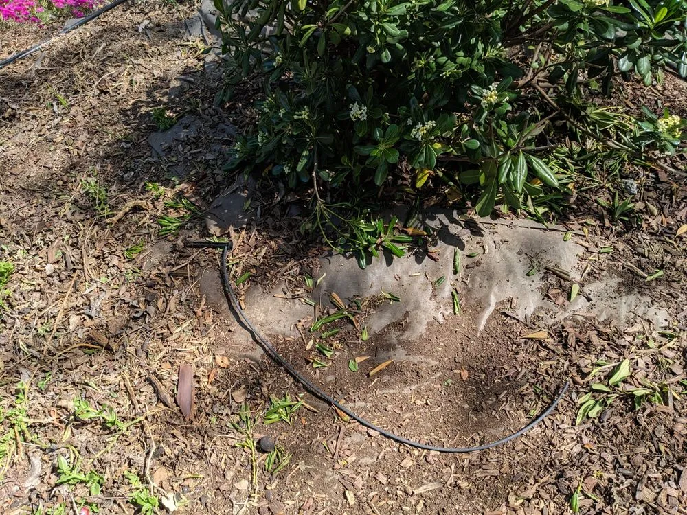 Trusted yard maintenance in Vacaville, CA - Affordable Lawn Service & Sprinkler Repair