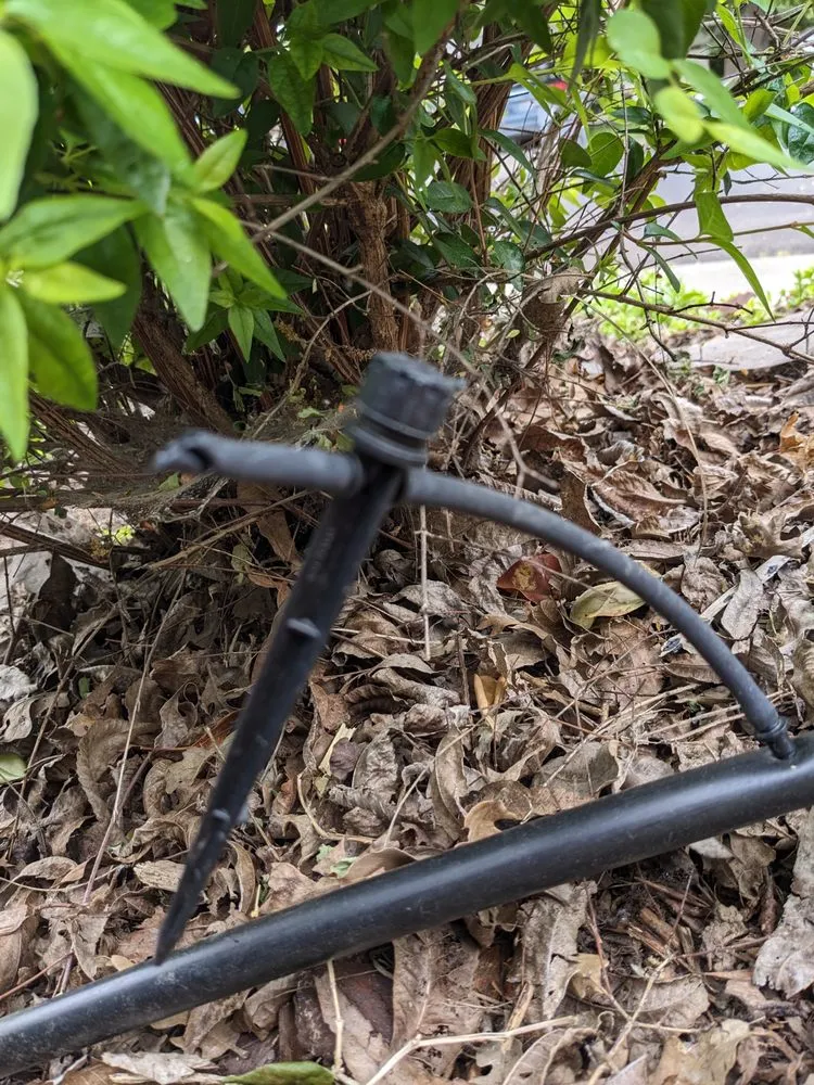 Top-rated garden landscaping with custom design across Vacaville, CA - Affordable Lawn Service & Sprinkler Repair