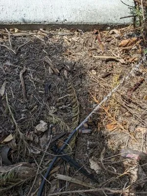 Affordable Lawn Service & Sprinkler Repair