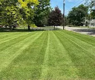 Reliable residential landscaping near you in Johnson City, NY by Affordable Lawn service