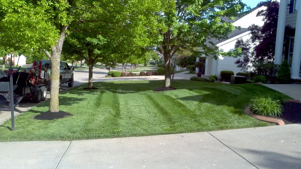 Professional landscape installation experts serving Ofallon, MO - Affordable Lawn Service