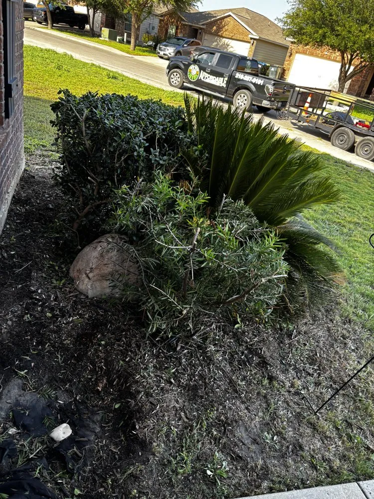Custom garden landscaping in San Antonio, TX - Affordable Lawn Service