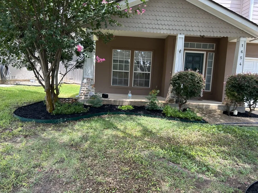 Professional yard cleanup service in San Antonio, TX by Affordable Lawn Service