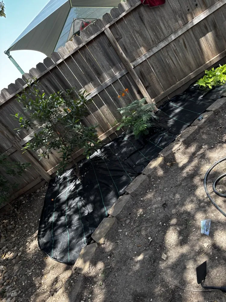 Reliable outdoor landscaping for beautiful yards in San Antonio, TX by Affordable Lawn Service