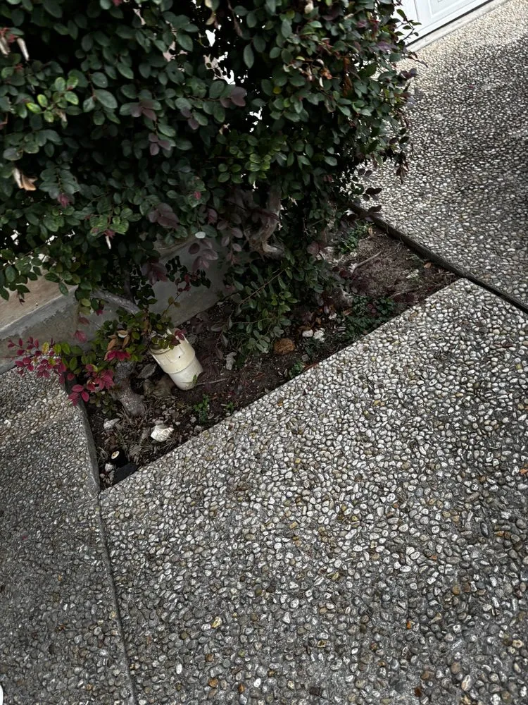 Reliable garden landscaping for year-round maintenance in San Antonio, TX by Affordable Lawn Service