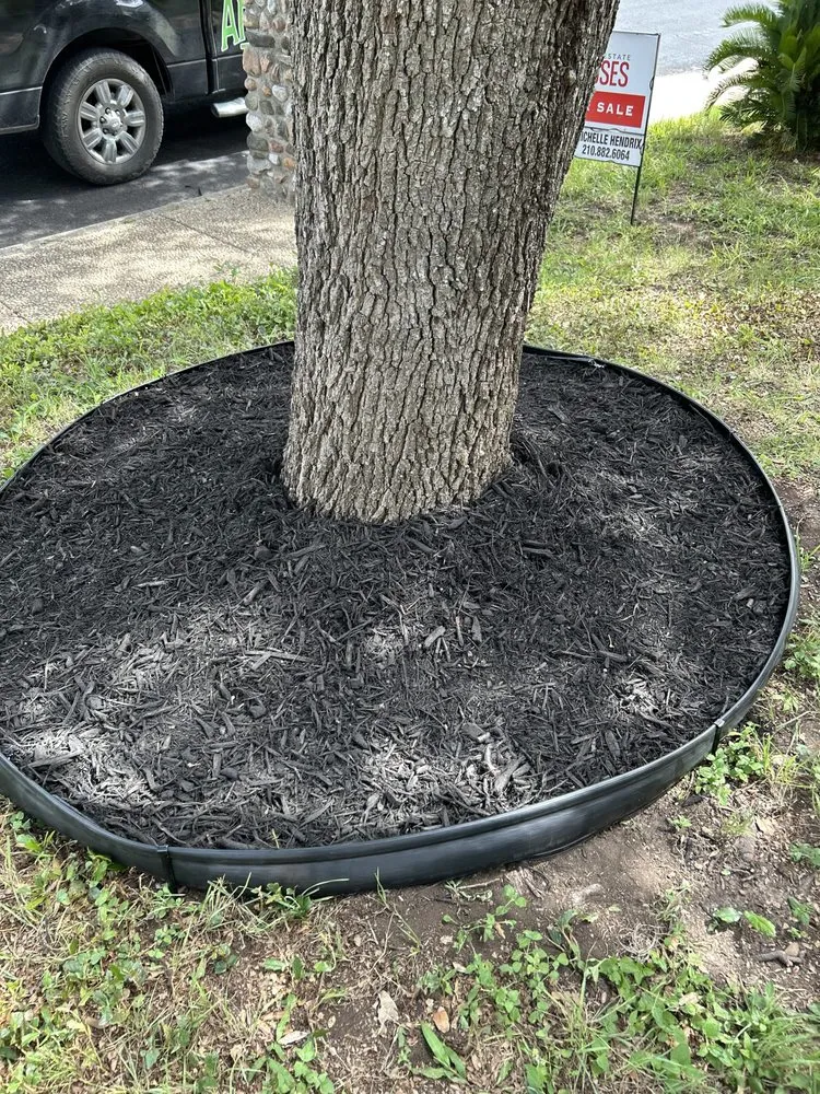 Local outdoor landscaping for year-round maintenance in San Antonio, TX by Affordable Lawn Service