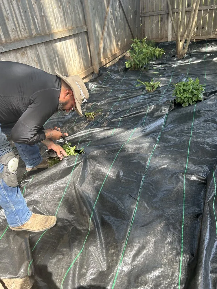 Top-rated outdoor landscaping in San Antonio, TX - Affordable Lawn Service