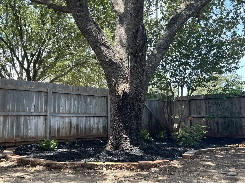 Top-rated yard cleanup service experts serving San Antonio, TX - Affordable Lawn Service