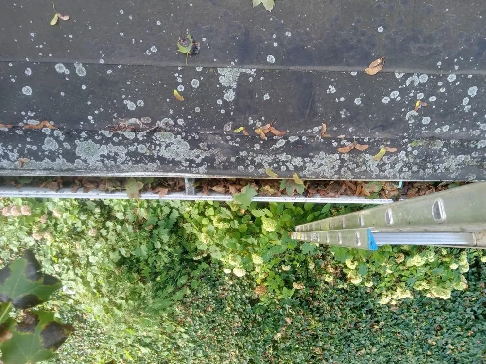 Local yard cleanup service in Erie, PA - Affordable Lawn Services And More