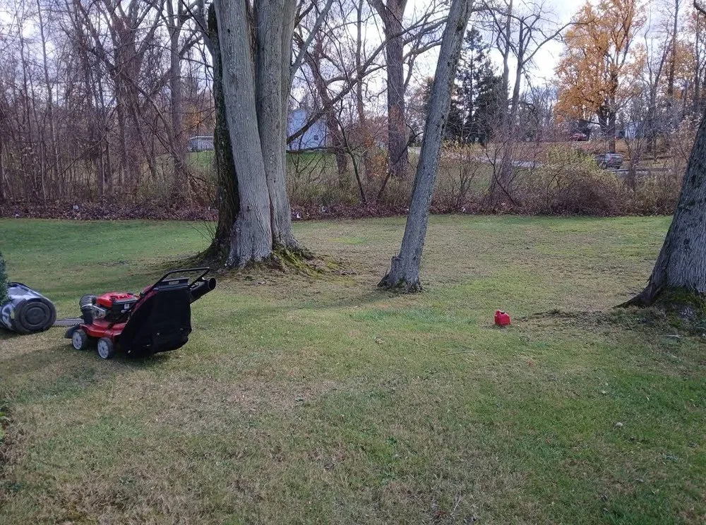 Reliable residential landscaping experts serving Erie, PA - Affordable Lawn Services And More