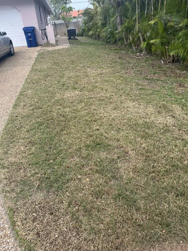 Local landscaping services near you in Venice, FL by Affordable Lawn Services