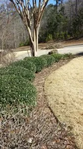 Top-rated garden landscaping near you in Bessemer, AL by Affordable Lawncare