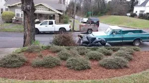 Professional yard cleanup service for year-round maintenance across Bessemer, AL - Affordable Lawncare