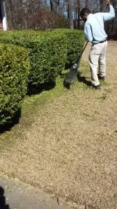 Professional landscape design in Bessemer, AL by Affordable Lawncare