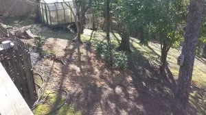 Top-rated yard maintenance in Bessemer, AL by Affordable Lawncare