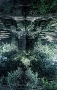 Trusted residential landscaping experts serving Bessemer, AL - Affordable Lawncare