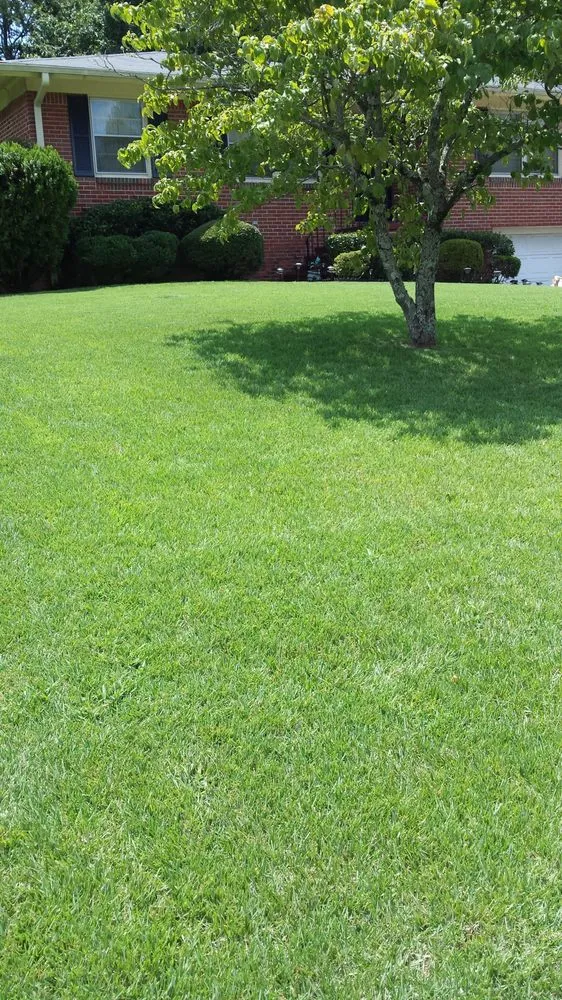 Custom residential landscaping for residential properties in Bessemer, AL by Affordable Lawncare