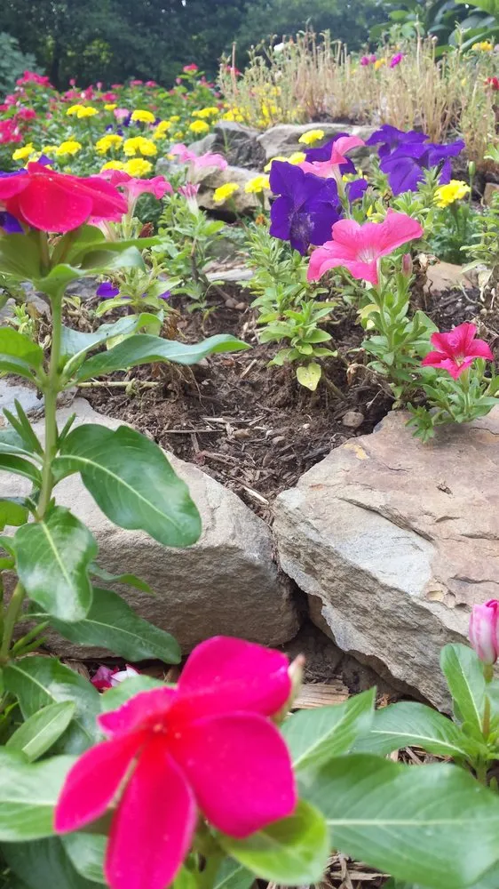 Professional lawn mowing service experts serving Bessemer, AL - Affordable Lawncare