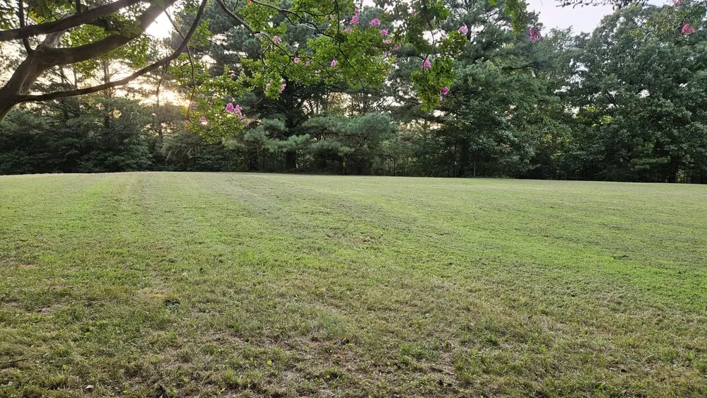 Affordable lawn mowing service experts serving Paris, TN - Affordable Lawncare
