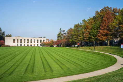 Trusted yard cleanup service for residential properties in Middletown, IN by Affordable Lawncare Solutions