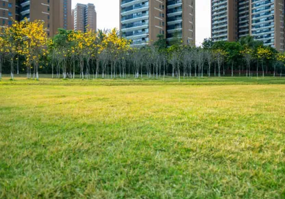 Trusted garden landscaping in Middletown, IN by Affordable Lawncare Solutions