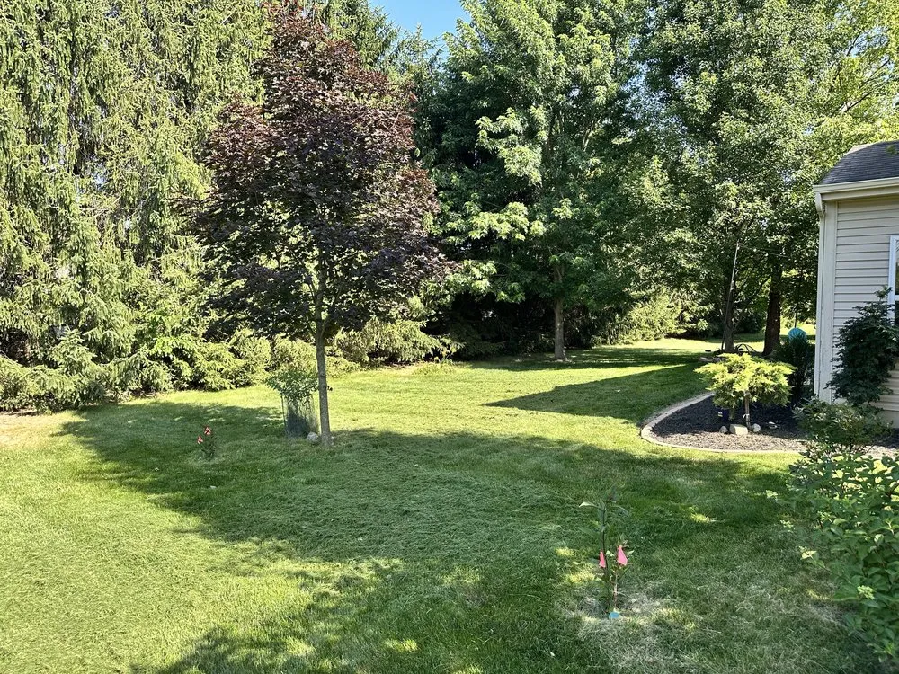 Professional lawn mowing service near you in Middletown, IN by Affordable Lawncare Solutions