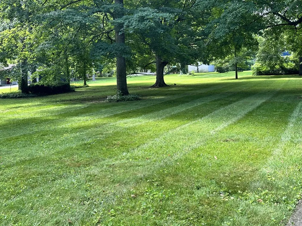 Trusted residential landscaping experts serving Middletown, IN - Affordable Lawncare Solutions