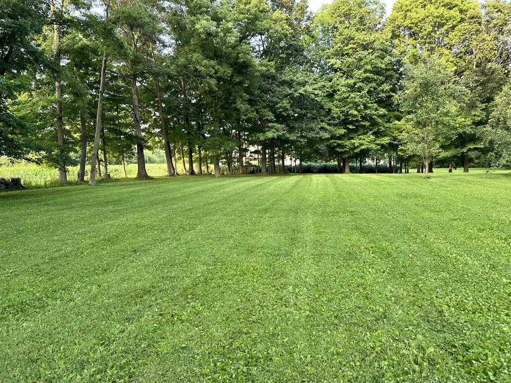 Local landscaping services in Middletown, IN - Affordable Lawncare Solutions