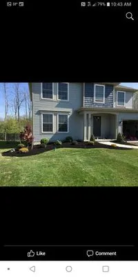 Affordable lawns & landscape solutions Logo