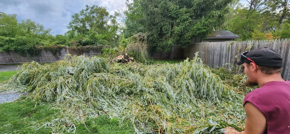 Custom landscape design for homes across Chester, NY - Affordable Lawns & Maintenance