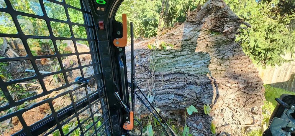 Reliable yard cleanup service for beautiful yards across Chester, NY - Affordable Lawns & Maintenance