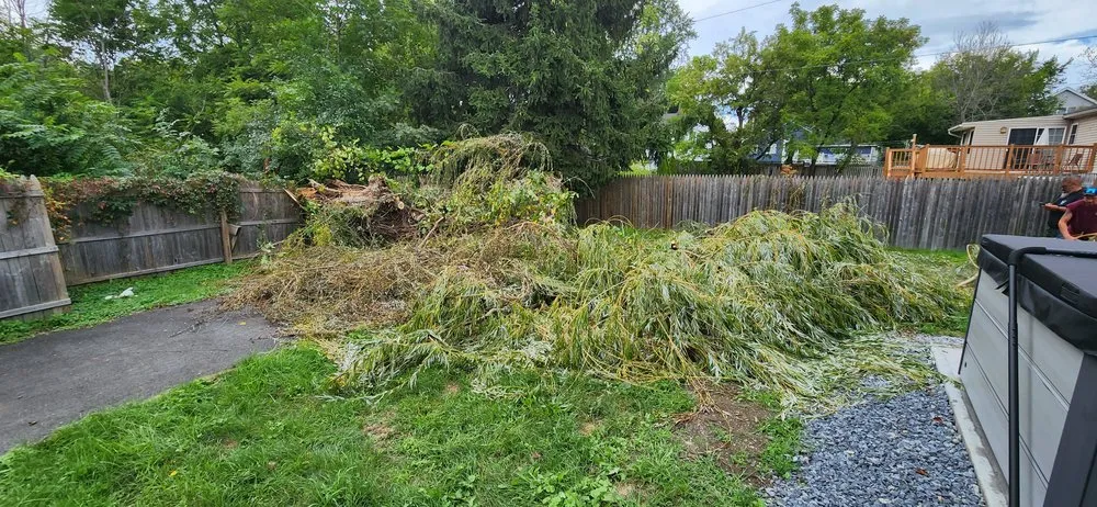 Local lawn care service in Chester, NY - Affordable Lawns & Maintenance