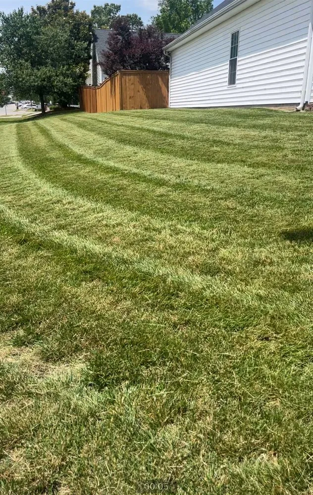 Local residential landscaping for residential properties across Knightdale, NC - Affordable Lawns