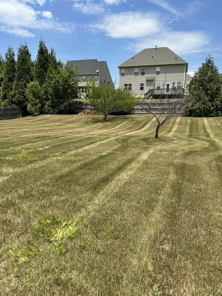 Professional landscape installation in Knightdale, NC - Affordable Lawns