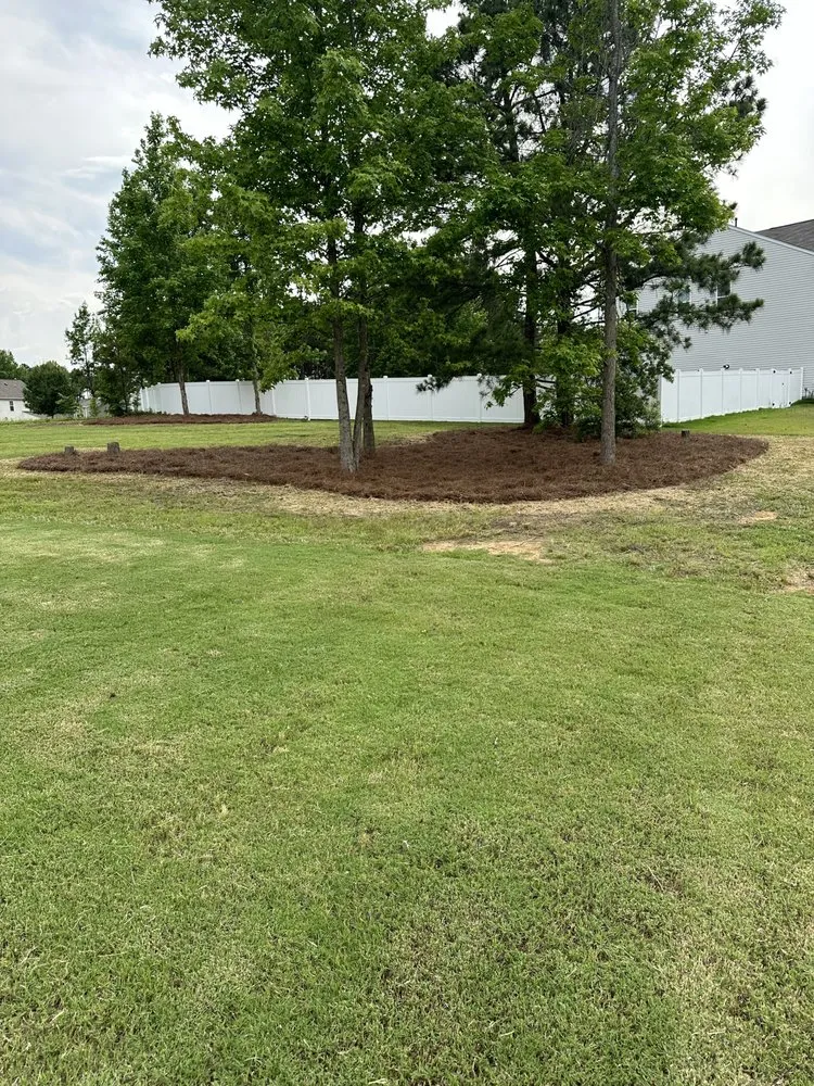 Trusted lawn mowing service in Knightdale, NC - Affordable Lawns